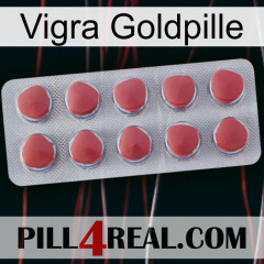 Vigra Gold Pill 18